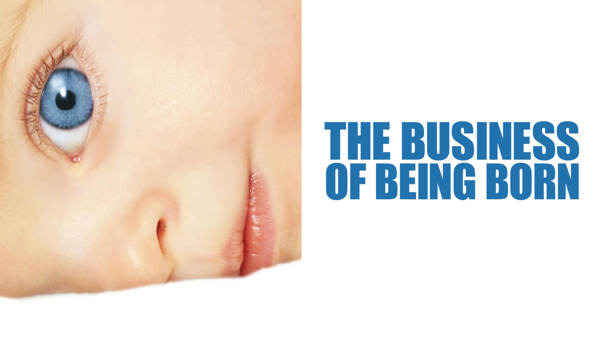 The-Business-Of-Being-Born - BLOG