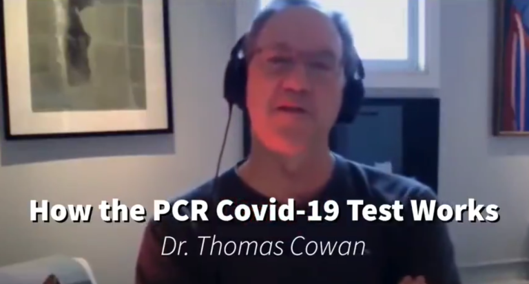 How the RT-PCR Covid-19 Test Works