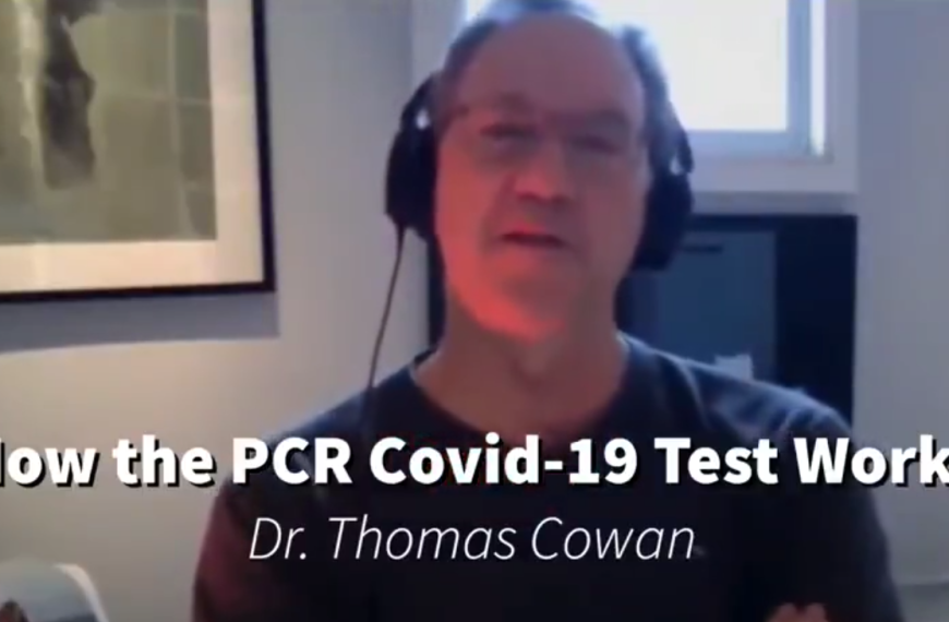 How the RT-PCR Covid-19 Test Works